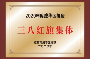2020年度成华区抗疫三八红旗集体