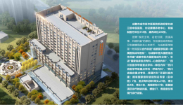 履践致远 奋楫争先 ——医院2024年末回顾及2025年愿景展望